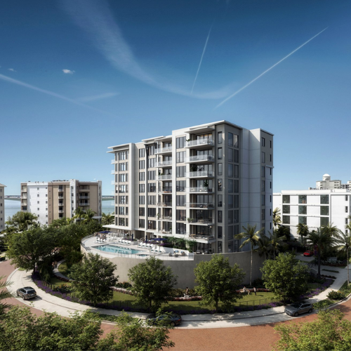 Project Management and Lender Advisory